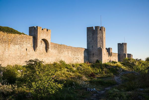 Bibikow, Walter 아티스트의 Sweden-Gotland Island-Visby-12th century city wall-most complete medieval city wall in Europe작품입니다.